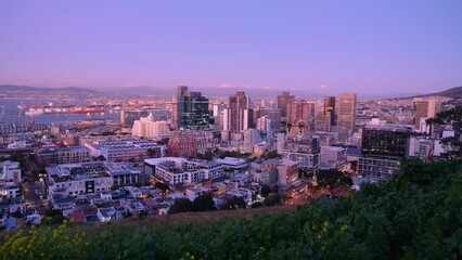 Wall Mural - Cape town city skyline at sunset from a lush green hillside during spring, Cape Town, South Africa