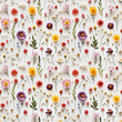 wild flower seamless pattern. summer meadow flowers on white background.