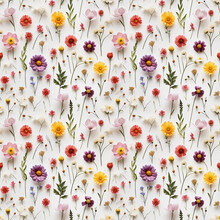 Wild Flower Seamless Pattern. Summer Meadow Flowers On White Background.