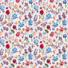 Wild Flower Seamless Pattern. Summer Meadow Flowers On White Background. Blue Flax, Sweet Pea