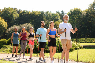 Poster - Group of people practicing Nordic walking with poles in park on sunny day