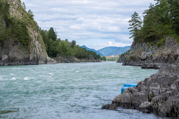 Wall Mural - A wide, full-flowing mountain river with a fast current. Large stones stick out of the water. The large turquoise-colored mountain river Katun in the Altai Mountains, Altai Republic.