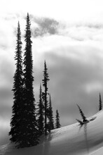 Silhouette Of Tall Pine Trees On A Snowy Slope With Clouds; Canada