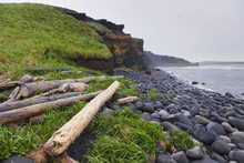 Driftwood And Grass Along A Volcanic Rock Beach With Dark Rocky Cliffs In The Background, St. Paul Island, Southwestern Alaska, USA, Summer
