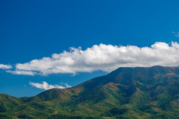 Wall Mural - Mt Cammerer in the Great Smoky Mountains