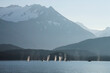 © Designpics - Group of Humpback whales fill their lungs with air before returning to feed along a forested shoreline in SE Alaska's Inside Passage, Favorite Channel, near Juneau. The Coast Range Mountains in backgr