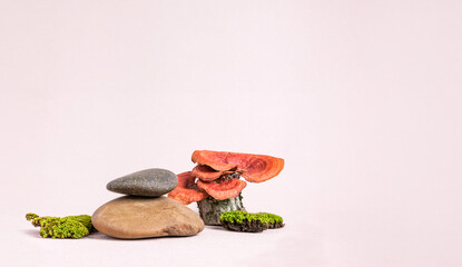 Poster - Organic nature moss and mushroom  products display. Natural style. Stone pedestal with green moss on pastel background for cosmetic products