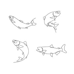 Salmon fish single line illustration template
