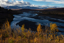 Sunlit, Autumn Colored Brush Along The Savage River, Alaska Range, Denali National Park, Alaska, USA