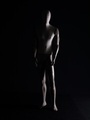 Wall Mural - full length mannequin on a black background