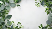 An Empty White Circle Watercolor Sheet Of Paper And Carefully Arranged Green Leaves On A Light Gray Concrete Background. Ensure The Image Has Ample Copy Space For Added Flexibility In Advertising