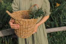 Woman Standing In A Garden Holding A Basket With Freshly Picked Wild Blueberry Branches, Belarus