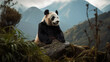 panda sitting on a hill in nature photography
