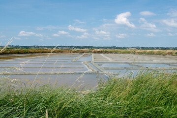 Wall Mural - Sel, Marais salants, Guerande, 44, Loire Atlantique, France