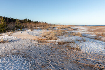 Wall Mural - Frozen empty beach landscape, Gulf of Finland. Coast of Baltic Sea