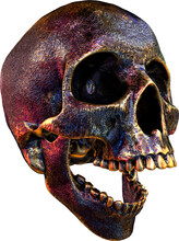 Metallic Skull Isolated On A Transparent Background