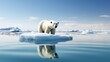 melting polar ice caps, with a polar bear standing on a shrinking ice floe, drawing attention to the plight of wildlife affected by climate change.