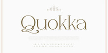 Quokka Luxury Alphabet Letters Font. Typography Elegant Wedding Classic Lettering Serif Fonts Decorative Vintage Retro Concept. Vector Illustration