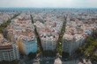 © AmazingAerialAgency - Aerial view of typical Valencian houses with skyline of the city and roads full of trees, Valencia, Spain.