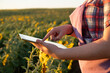 © ADDICTIVE STOCK - Anonymous woman in sunflower field using tablet