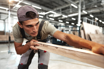 Wall Mural - Male carpenter using some woodworking tools for his work in a factory