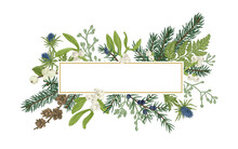 Christmas Frame With Winter Plants. Botanical Illustration. Composition With Spruce, Eucalyptus Seeds, Fern, Juniper, Mistletoe, Larch Cones, Bluehead. Holiday Card.