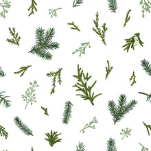 Christmas Seamless Green Pattern With Sprigs Of Plants. Winter Botany.