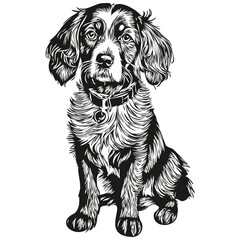 Wall Mural - Spaniel Boykin dog silhouette pet character, clip art vector pets drawing black and white sketch drawing