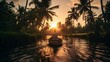  kerala fishman  sailing in backwaters, evening, sunset 
