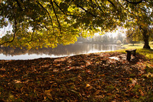 Ground Covered With Fallen Leaves Along The Tranquil Shoreline Of A Lake; North Yorkshire, England