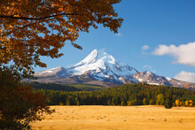 Mount Hood And Autumn Colours In Hood River Valley; Oregon, United States Of America