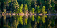 Trees Along The Shoreline Reflected In The Tranquil Lake; Lake Of The Woods, Ontario, Canada