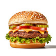 Burger image in white background
