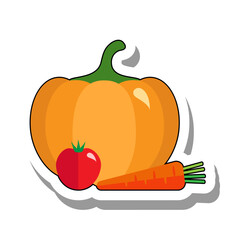 Poster - Young ripe vegetables flat paper sticker. Fresh healthy carrot, pumpkin and tomato, edible plants for cooking and eating isolated on white background. Seasonal harvest, farming, cuisine concept