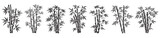 Fototapeta Sypialnia - Bamboo with leaves vector illustration, black silhouette laser cutting