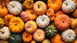 Various fresh ripe pumpkins as backgro