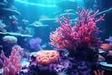 Fototapeta Las - A bright underwater world with coral reefs