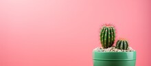 Minimal Style Cactus In A Pot On A Pink Background