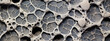 © THINGDSGN - organic structure under microscope, gray and brown color, organic growth, calcium wallpaper, AI