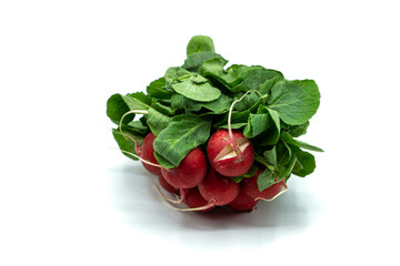 Wall Mural - Radish bunch isolated on white background