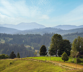 Wall Mural - Picturesque summer Carpathian mountain countryside, Ukraine.