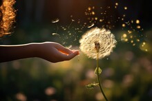 A Person Holding A Dandelion In Their Hand. This Image Can Be Used To Represent Hope, Wishes, Nature, Or A Connection To The Environment.