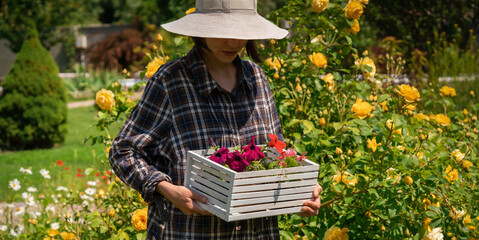 Wall Mural - A girl in a hat is engaged in gardening work.