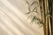 Bamboo Background Or Backdrop With Selective Focus And Copy Space For Text