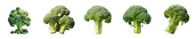 Png Set Broccoli on a transparent background