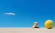Puppy and ball on simple blue sky horizon background;  the labrador puppy fetching a tennis ball