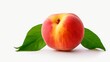 Produce a stunning picture of a ripe and juicy peach, its blush skin inviting against an isolated white background.