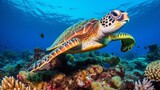 Fototapeta Do akwarium - Green ocean turtle swimming over a coral reef near up Ocean turtles are getting to be debilitated due to illicit human exercises