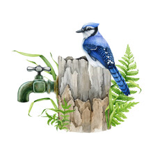 Blue Jay Perched On A Verdurous Garden Vintage Style Water Tap With Wooden Base. Watercolor Illustration. Hand Drawn Vintage Style Overgrown Garden Faucet With A Bird On It. White Background