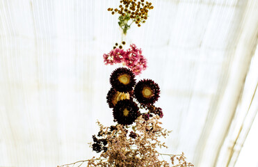 Wall Mural - bunch of dried flowers hanging from a celling